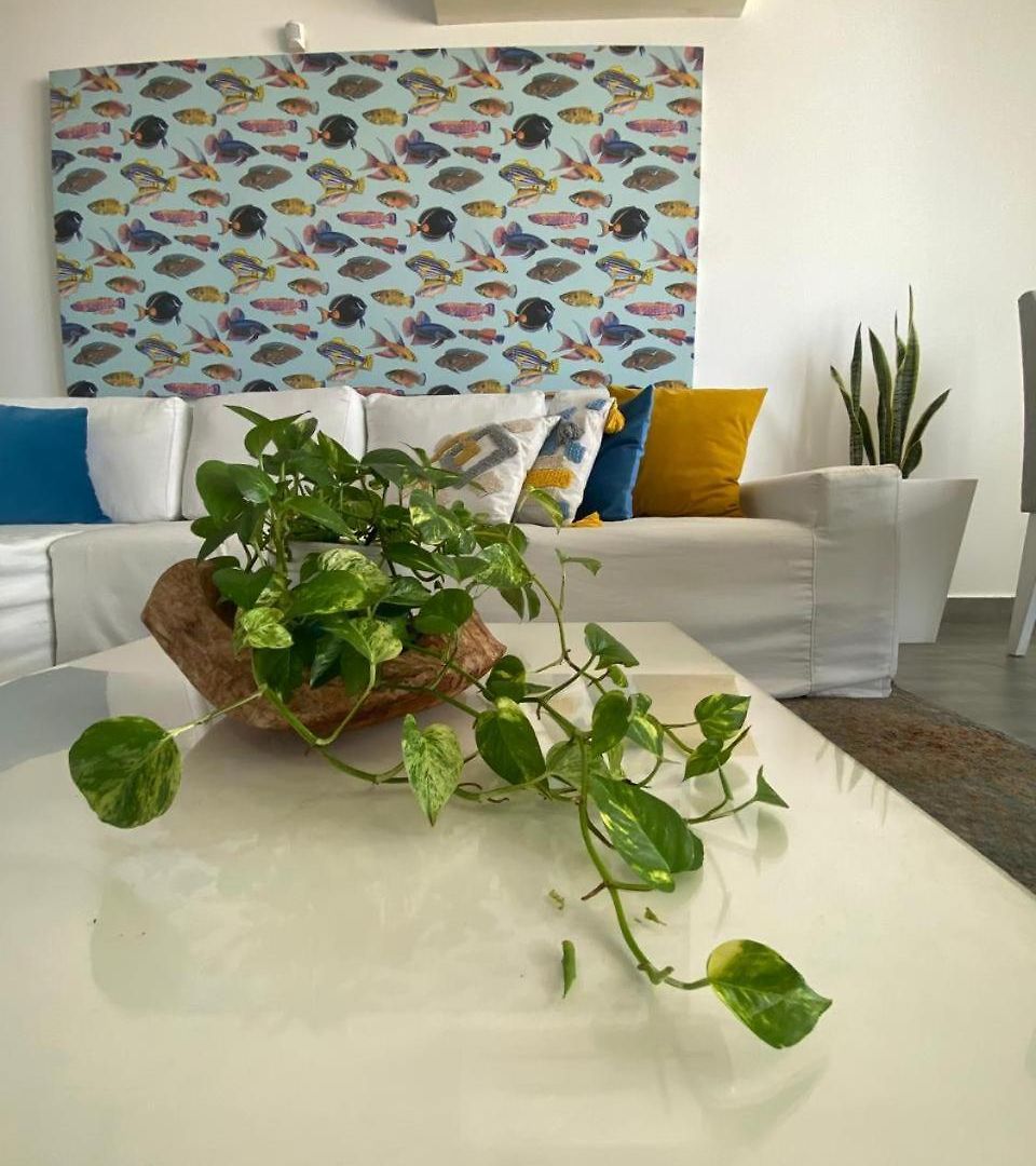 Apartment Ctgna 10 Personas 3 Playa Americas Morros Cartagena